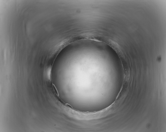 X0000093770047200710231321