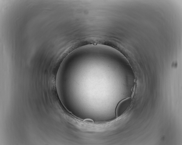 X0000093770048200710231321