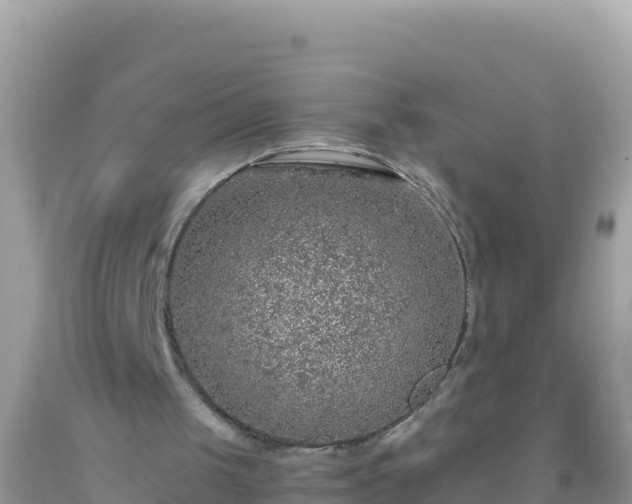 X0000093770049200710231320