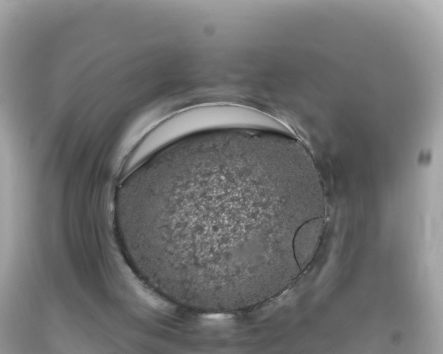 X0000093770053200710231320