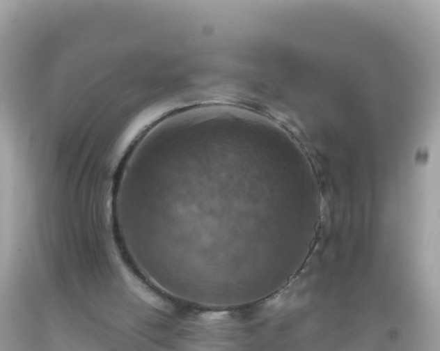 X0000093770054200710231320