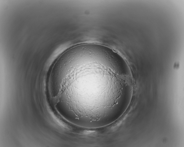 X0000093770055200710231320