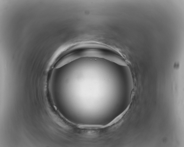 X0000093770056200710231320