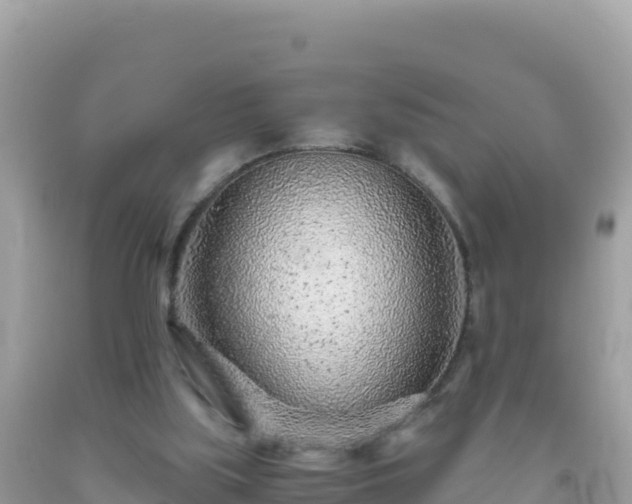 X0000093770059200710231320