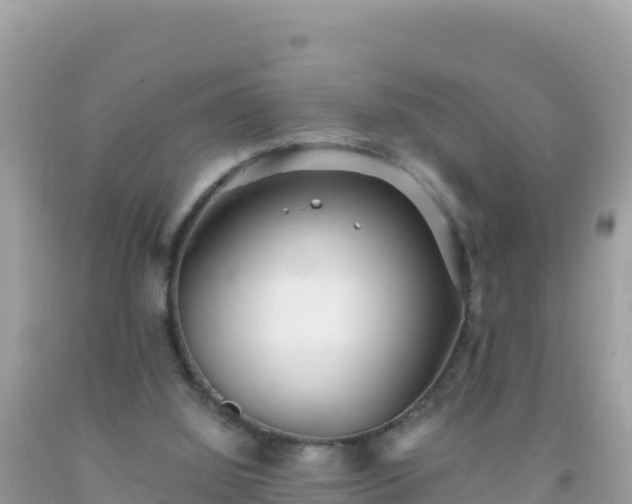 X0000093770060200710231320