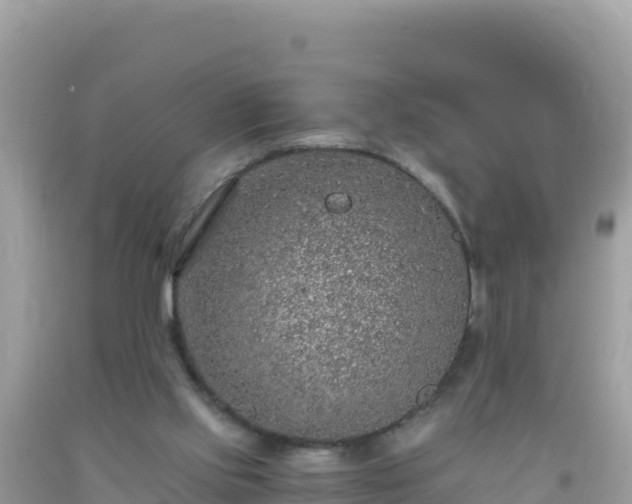 X0000093770061200710231320