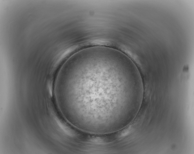 X0000093770062200710231320