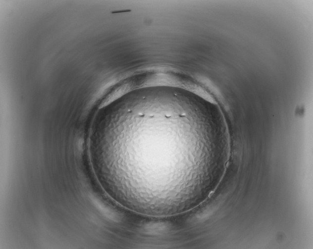 X0000093770063200710231320