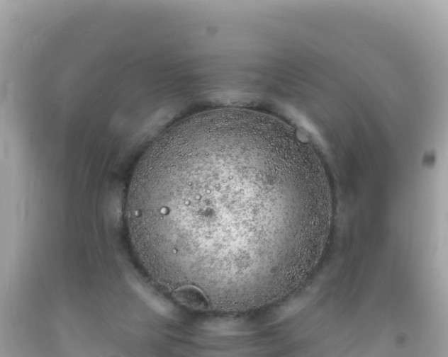 X0000093770065200710231320