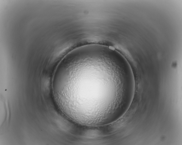 X0000093770066200710231321