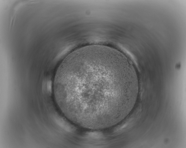 X0000093770067200710231321