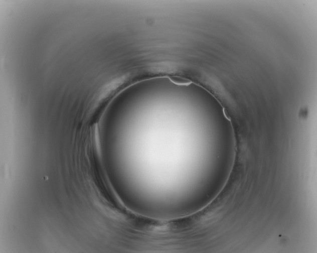 X0000093770068200710231321