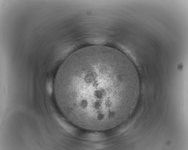 X0000093770069200710231321