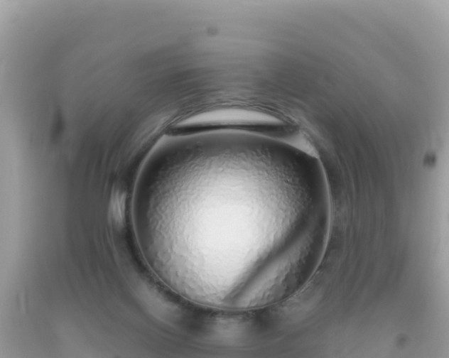 X0000093770070200710231321