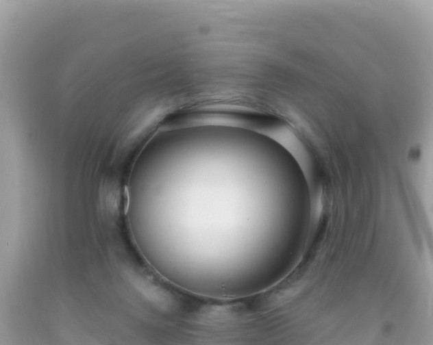 X0000093770072200710231321