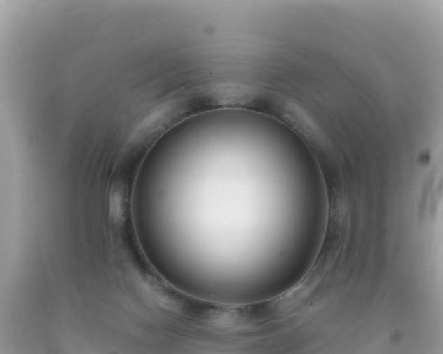 X0000093770074200710231321