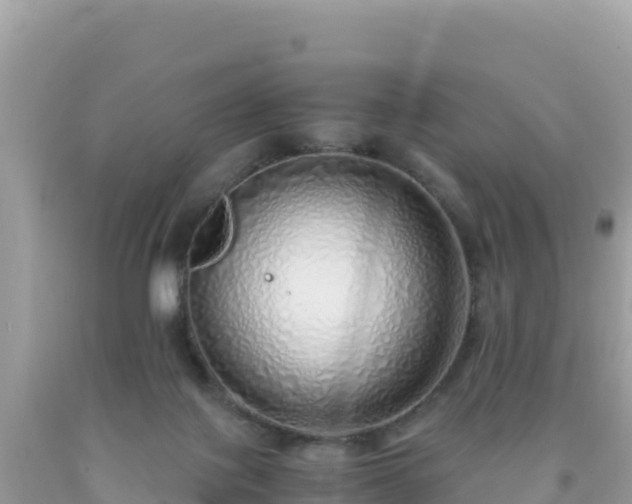 X0000093770075200710231321