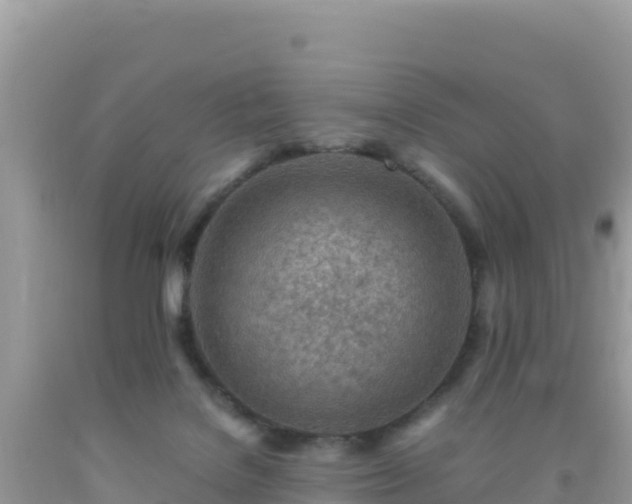 X0000093770076200710231321