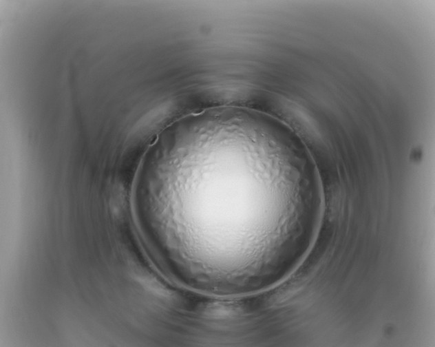 X0000093770077200710231321