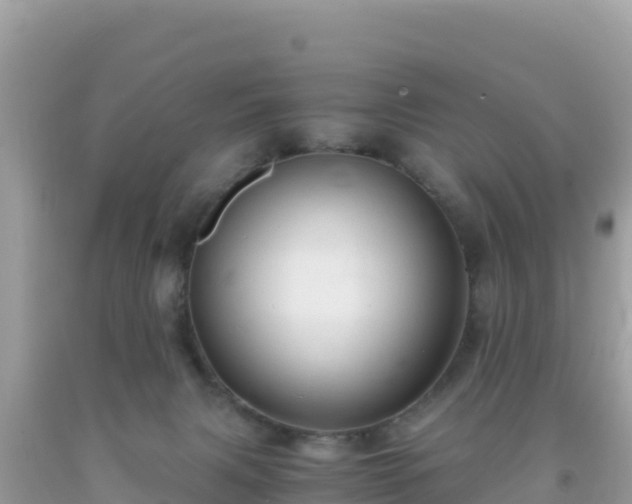 X0000093770079200710231321