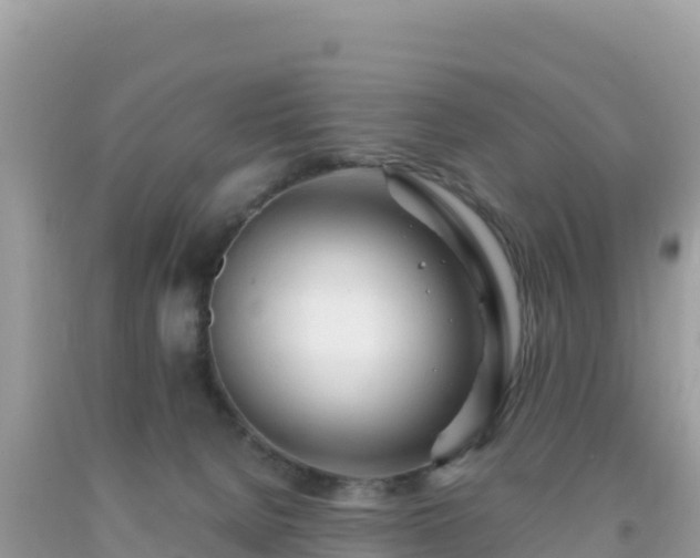 X0000093770080200710231321