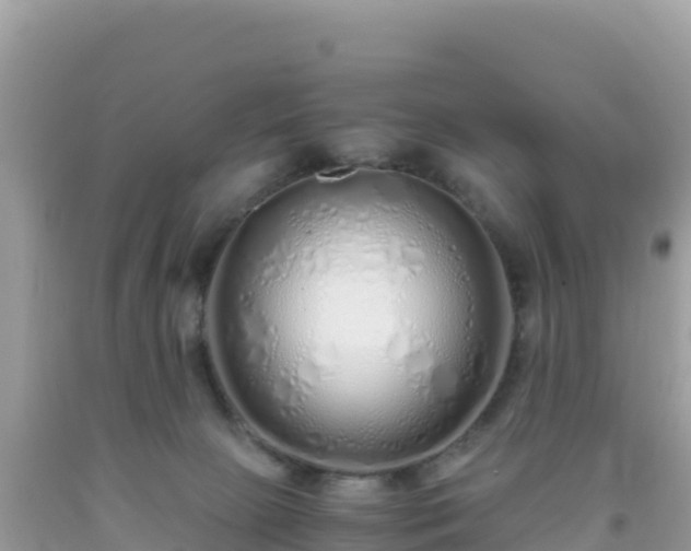 X0000093770081200710231321