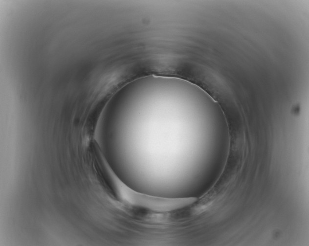 X0000093770084200710231321