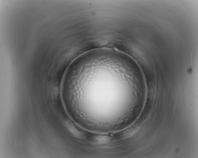 X0000093770085200710231321