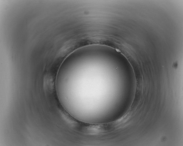 X0000093770086200710231321