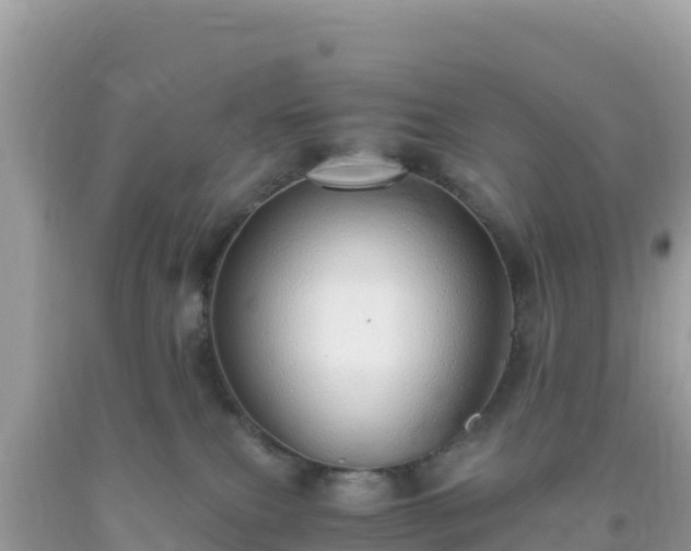 X0000093770087200710231321