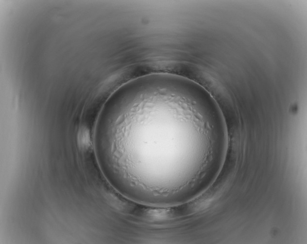 X0000093770089200710231321