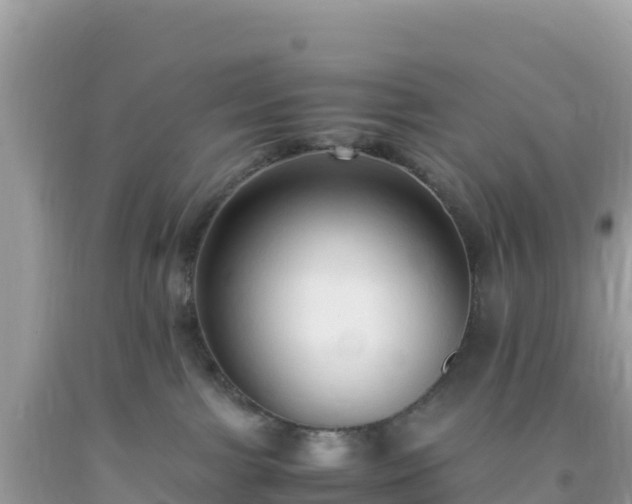 X0000093770091200710231321