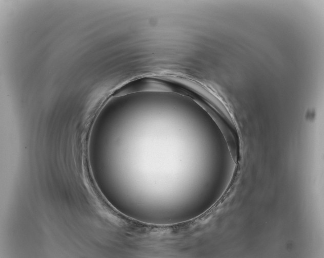 X0000093770097200710231320