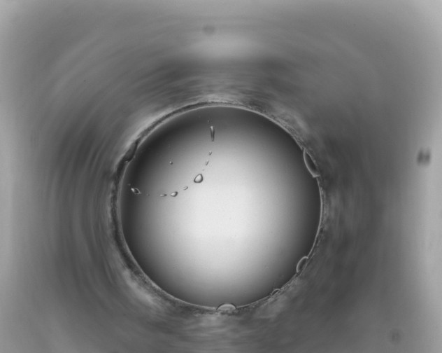 X0000093770098200710231320