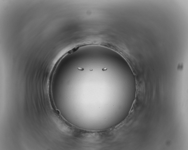 X0000093770100200710231320