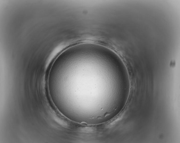 X0000093770102200710231320