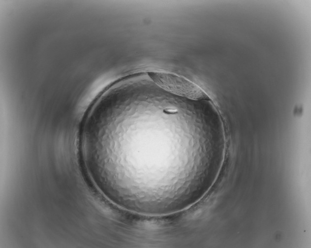 X0000093770103200710231320