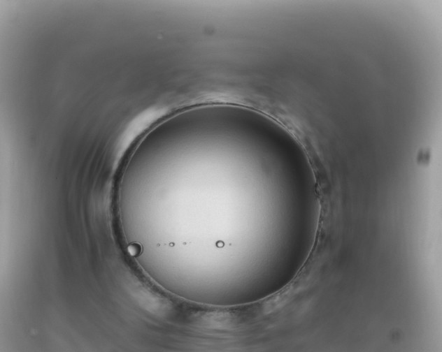 X0000093770104200710231320