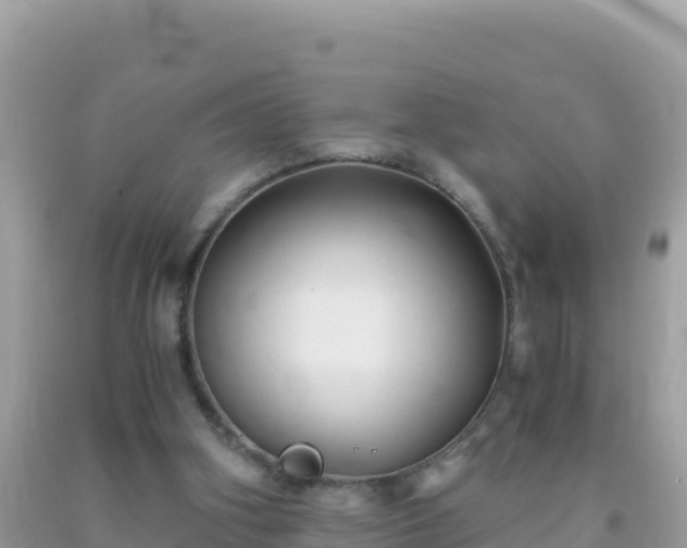 X0000093770106200710231320