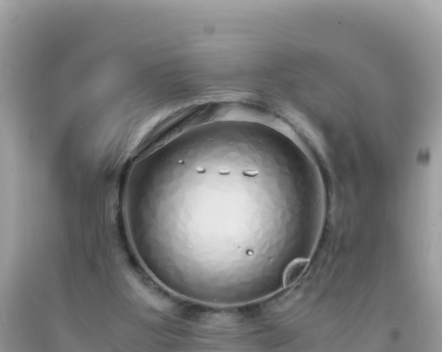 X0000093770107200710231320