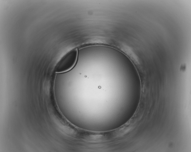 X0000093770108200710231320