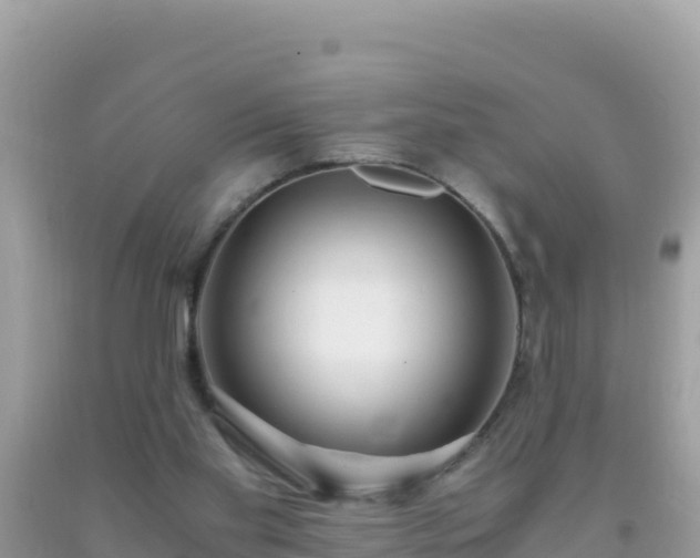 X0000093770109200710231320