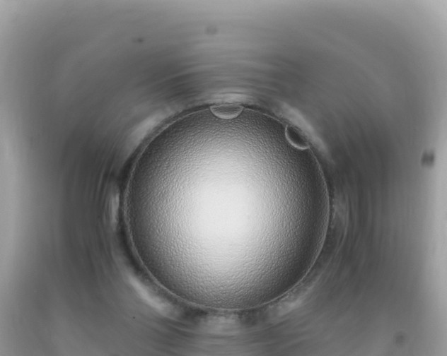 X0000093770110200710231320