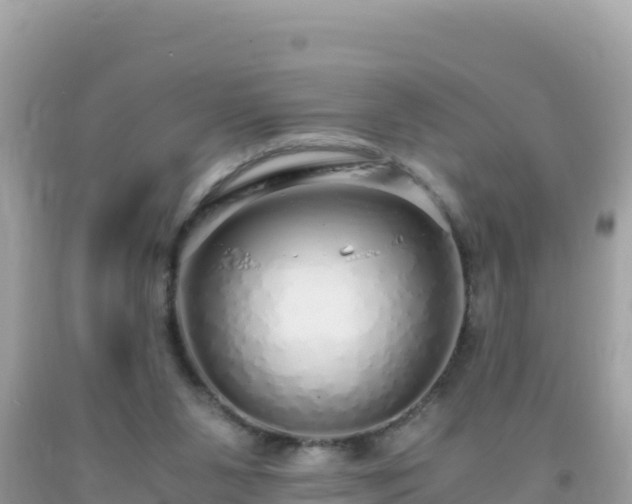 X0000093770111200710231320