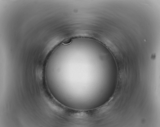 X0000093770112200710231320