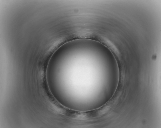 X0000093770113200710231320