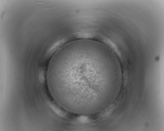 X0000093770114200710231320