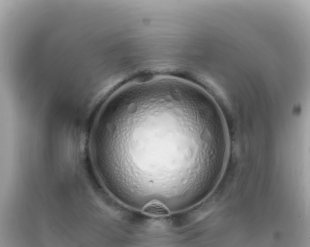 X0000093770115200710231320