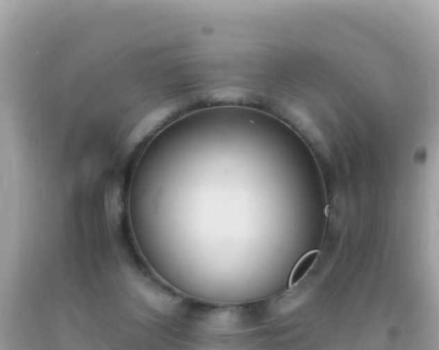 X0000093770116200710231320