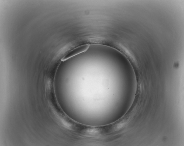 X0000093770117200710231320